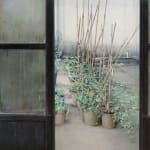 Carlos Morago, Pasadizo, 2024