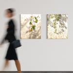 Carlos Díaz, Vegetal mobile, 2025