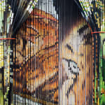 Tuan Andrew Nguyen, Hip Hop History Sampling Hip Hop History: The Red Remix, 2008