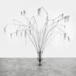 Vy Trinh, Knock Sensor, 2024
