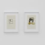 Franka Hörnschemeyer, Series: Diffusion und Konfusion, 2013