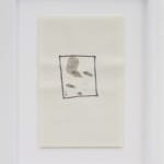 Franka Hörnschemeyer, Series: Diffusion und Konfusion, 2013