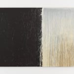Steir_White and Black Diptych with White Splashes_2009