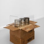 James Gregory Atkinson, Teenager Leila Negra (Mädchenfalle), 2025