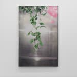 David Hartt, The Garden (Passiflora foetida / Rome, Italy / May 17, 2022), 2022