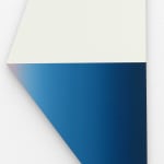 Jonas Weichsel, K. Michael Bergfeld, 2019