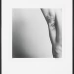 Mapplethorpe-604o