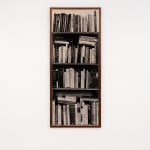 Nancy Haynes, Photographic Memory, 1992