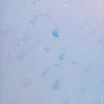 Jacqueline Hen, Particles, 2023