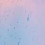 Jacqueline Hen, Particles, 2023
