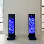 Rolf Sachs, Eingemachtes, 2023