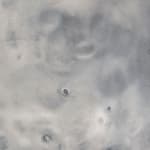 Irene Cattaneo, "Wild and voluptuous animals" ceiling fixture, 2025