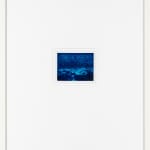 Çağla Köseoğulları, Sky and Earth and Ten Thousand Things, 2024