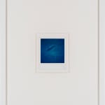 Çağla Köseoğulları, Sky and Earth and Ten Thousand Things, 2024