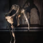 Tove Kjellmark, An Ode to the Unknown, 2022