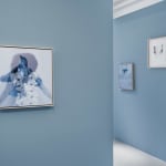 Joanne Grüne-Yanoff, Cassandra's Escape (open), 2025