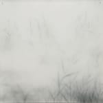 Tina Eskilsson, A lot of fog