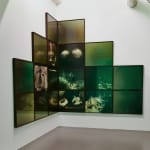 Martina Hoogland Ivanow, Satellite 30, 2009–10