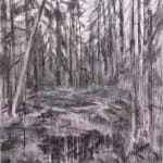 Susanne Johansson, Snödrömsvägen / The Snow Dream Road, 2024