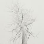 Carl Hammoud, He Persevered on His Path, 2025