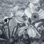 Carl Hammoud, He Persevered on His Path, 2025