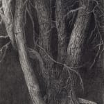 Jeff Olsson, Skogens ingång / The Forest’s Entrance, 2025