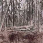 Susanne Johansson, Snödrömsvägen / The Snow Dream Road, 2024