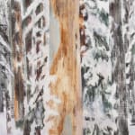 Susanne Johansson, Snödrömsvägen / The Snow Dream Road, 2024
