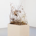 Johanna Karlsson, Passage XV, 2025