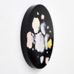 Karla Black, Named And Gated, 2009