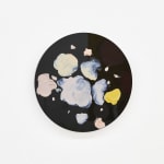 Karla Black, Named And Gated, 2009