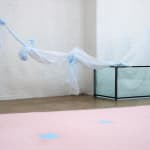 Karla Black, Named And Gated, 2009