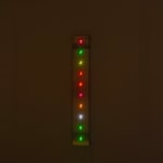 Tatsuo Miyajima, Changing Time with Changing Self - Flower, 2014