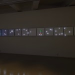 Tatsuo Miyajima, Changing Time with Changing Self - Flower, 2014