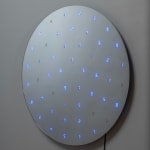 Tatsuo Miyajima, Changing Time with Changing Self - Flower, 2014