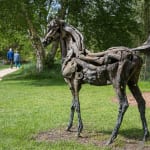 Heather Jansch, Warrior No:4