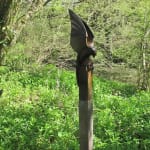 Paul Harvey, Wren