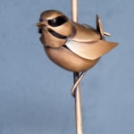 Don Rambadt, Willow Tit, 2021