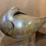 Paul Harvey, Wren