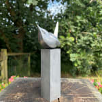 Paul Harvey, Wren