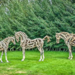 Heather Jansch, Warrior No:4