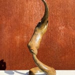 Thumbnail of additional image