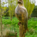 Paul Harvey, Tawny Owl Side