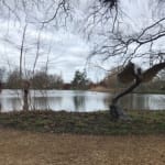 Bronze resin sculpture of mythical Greek winged figure Icarus by Nicola Godden, displayed on integral stone plinth, set in front of lake