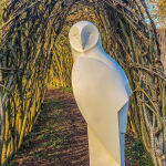 Paul Harvey, Wren