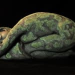 Jonathan Hateley FRSA, Transience