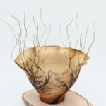 Sonya Wilkins, Windswept Skeleton Tree Vessel, 2023