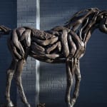 Heather Jansch, Warrior No:4
