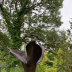 Steve Myburgh, Hanging Seat