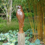 Paul Harvey, Wren
